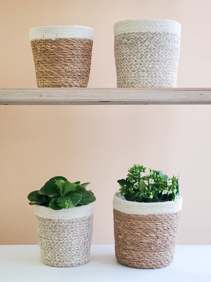 Agora Plant Basket - White by KORISSA