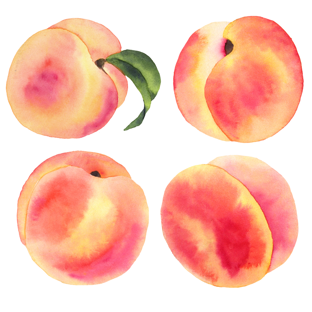 Watercolor Peaches and Leaves